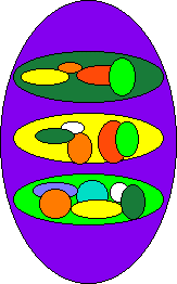 Client Server Component